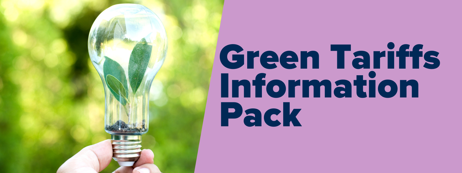 Image of a lightbulb with leaves inside, text reads: Green Tariffs Information Pack