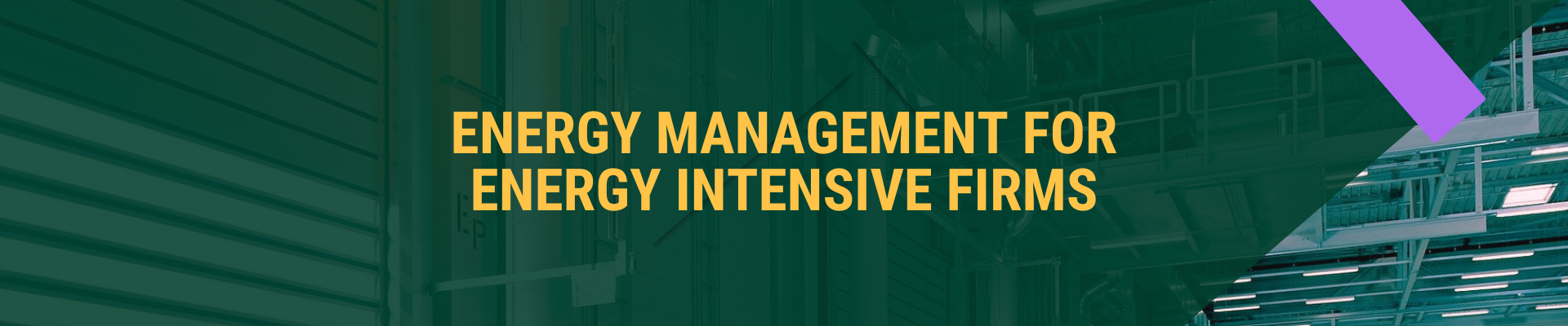 Energy management for energy intensive firms