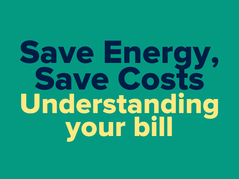 save energy, save costs: understanding your bill