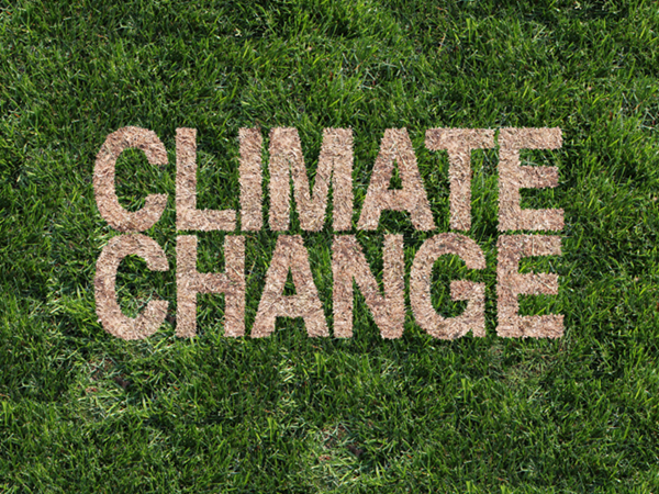 Image of grass with climate change written in it