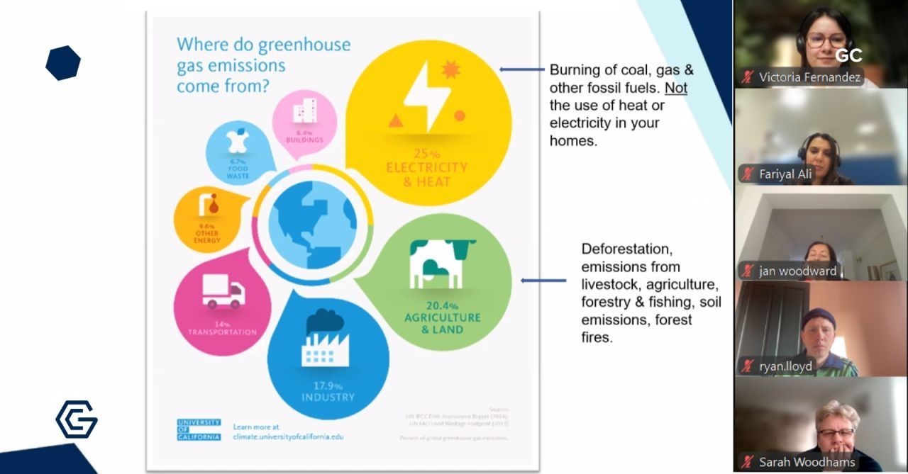 Colleagues taking part in the Carbon Literacy Training webinar
