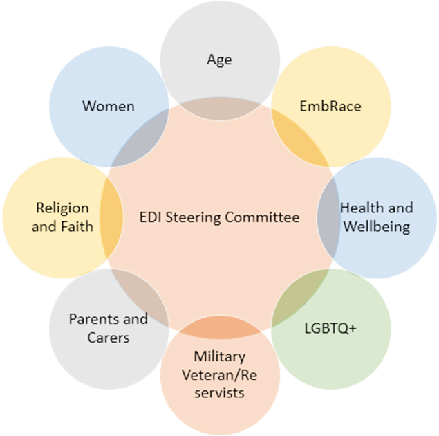 Image shows diagram of our 8 EDI Networks and how they make up the EDI Steering Committee. Networks include: Age, EmbRace (race), Health & Wellbeing, LGBTQ+, Parents and Carers, Women, Religion and Faith, Military Veteran and Reservists