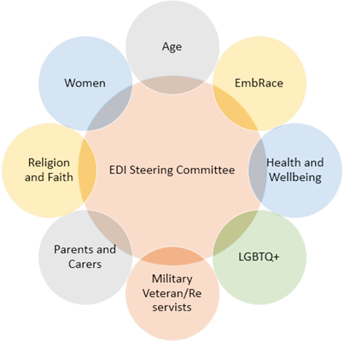 Image shows diagram of our 8 EDI Networks and how they make up the EDI Steering Committee. Networks include: Age, EmbRace (race), Health & Wellbeing, LGBTQ+, Parents and Carers, Women, Religion and Faith, Military Veteran and Reservists Image shows diagram of our 8 EDI Networks and how they make up the EDI Steering Committee. Networks include: Age, EmbRace (race), Health & Wellbeing, LGBTQ+, Parents and Carers, Women, Religion and Faith, Military Veteran and Reservists